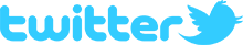 Twitter_2010_logo_-_from_Commons.svg